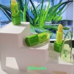 Bálsamo labial con Aloe Vera