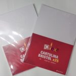 Cartulina A4 color blanco x25 por funda