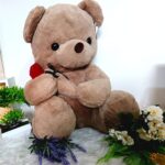 Peluche Oso 50 cms
