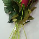 Rosas rojas