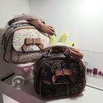 Cartera con agarradera y correa