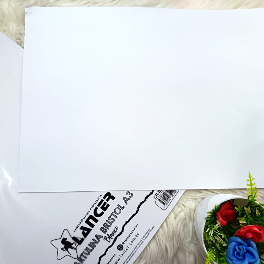 Cartulina blanca A3