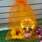 Funda de organza 25 x 35 cms