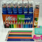 Lápices de colores x12