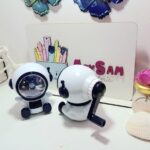 Sacapunta astronauta