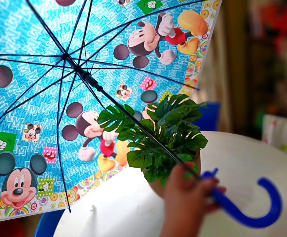 Paraguas varios diseños para niños - Imagen 3