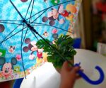 Paraguas varios diseños para niños - Imagen 3