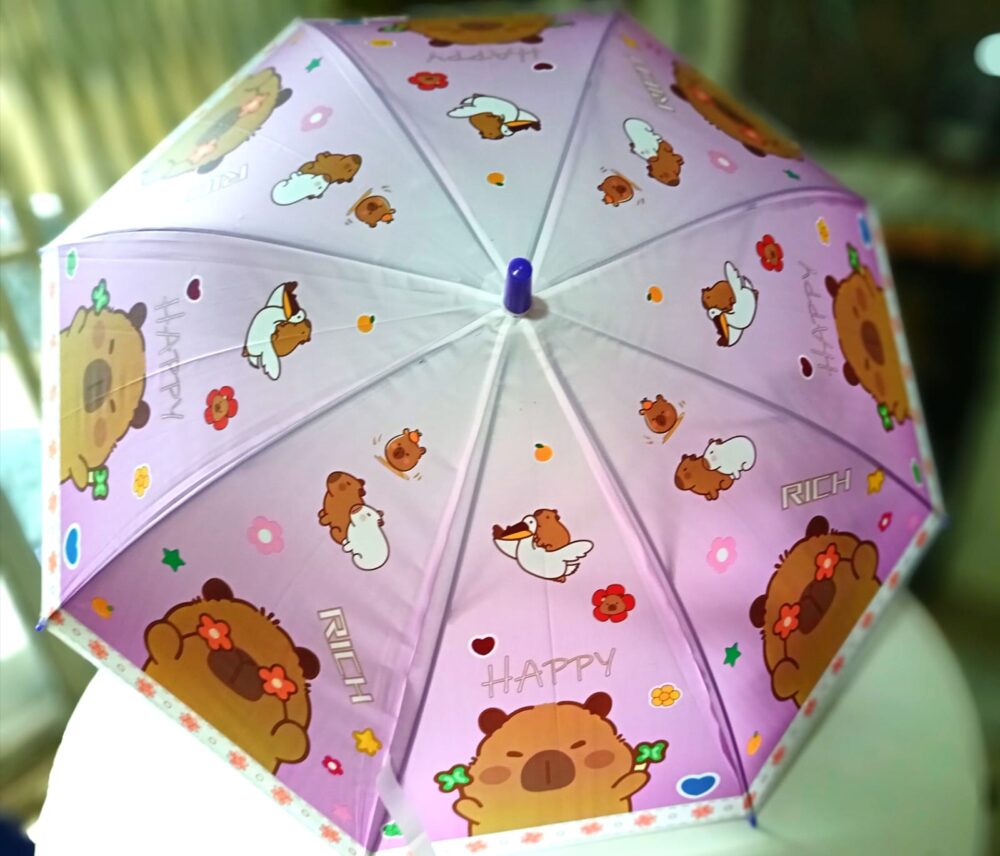 Paraguas varios diseños para niños - Imagen 1