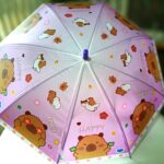 Paraguas varios diseños para niños