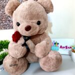 Peluche Oso 50 cms